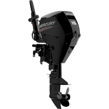 Outboard motor Mercury F15 EH EFI Outboard motor Mercury F15 EH EFI