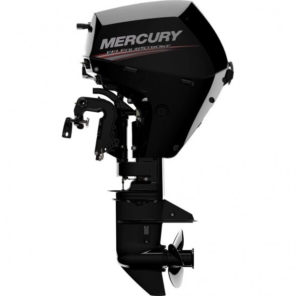 Outboard motor Mercury F20 E EFI 2