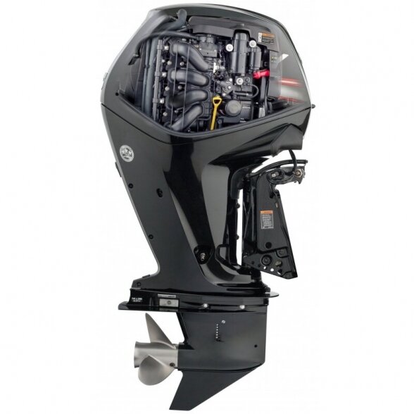 Outboard motor Mercury F100 L CT 6